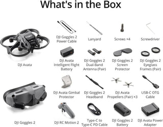 DJI مجموعة برو-فيو كومبو من افاتا - طائرة بدون طيار